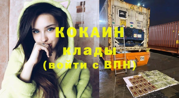 бошки Белокуриха