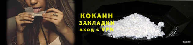 бошки Белокуриха