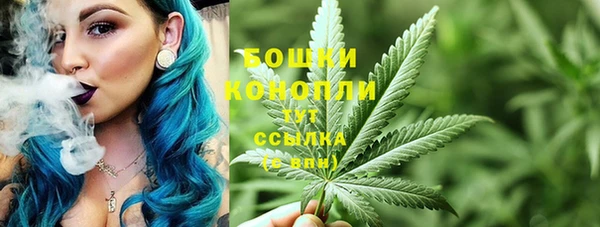 бошки Белокуриха