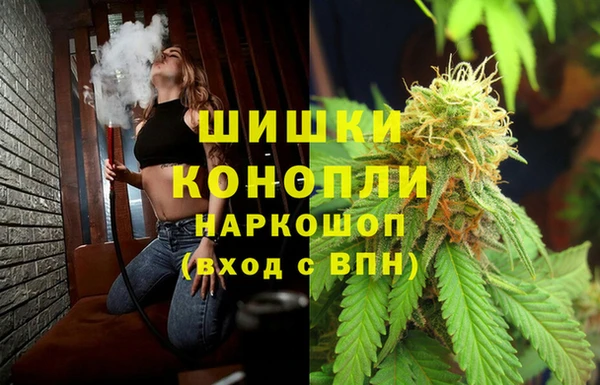 ГАЛЛЮЦИНОГЕННЫЕ ГРИБЫ Белоозёрский