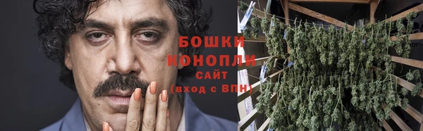 ГАЛЛЮЦИНОГЕННЫЕ ГРИБЫ Белоозёрский